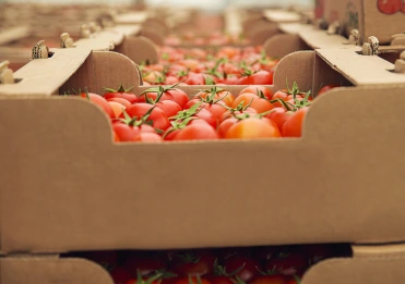 Fresh Produce Sourcing